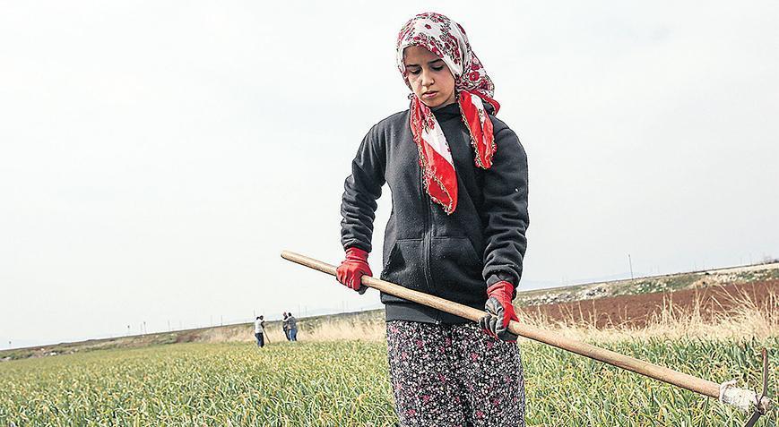 Deprem tarımsal üretimi de sarstı