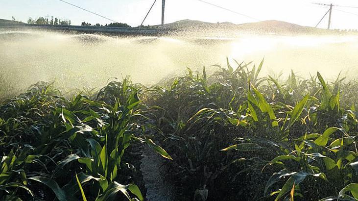 Tarımsal kuraklıkla mücadalede çözüm yolları! Gece sulama verimi artırdı