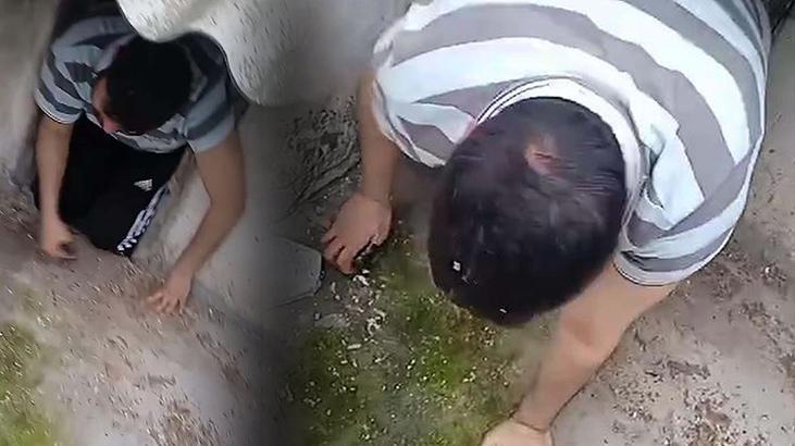 Yer: İzmir! Firar kümeste bitti