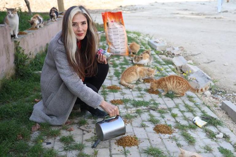'Hayvanlar artık çöpten bile yiyecek bulamıyor, çünkü şehirde insan yok'