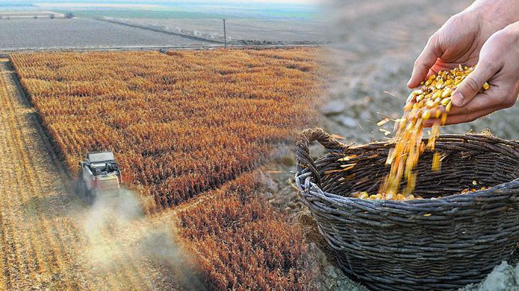 Çiftçinin seçimi ‘minimum işçilik’