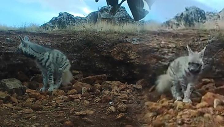 Bakan Yumaklı paylaştı: Nadir de olsa seni görmek çok güzel