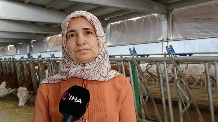 Devlet desteğiyle kurdu! Günlük 700 litre süt üretiyor
