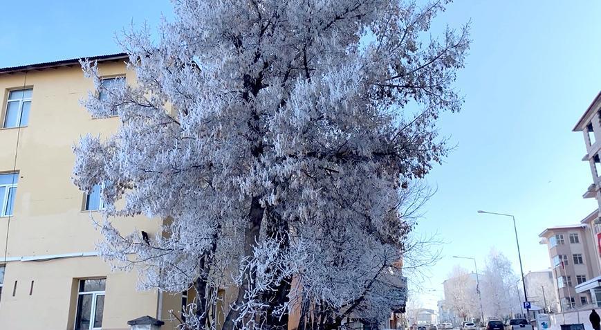 Meteoroloji’den yeni uyarı geldi! Türkiye’nin en soğuk yeri eksi 30,5 derece