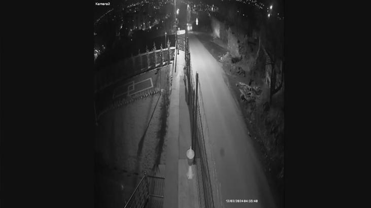 ‘Bağ evi fareleri’ Kayseri’de kıskıvrak yakalandı