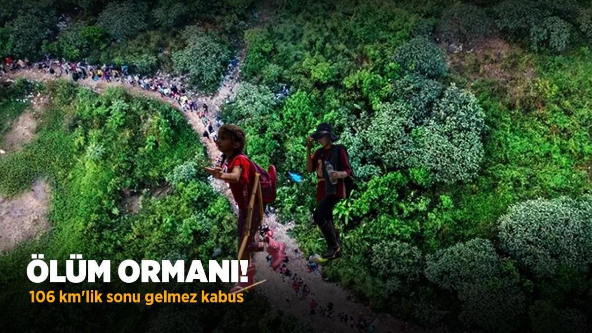 Ölüm ormanı! 106 km’lik sonu gelmez kabus