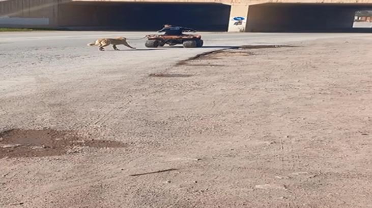 Bursa’da yürek dağlayan görüntü! Köpeği ATV’ye bağlayıp sürükledi