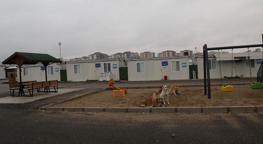 Malatya’da 7 yaşındaki kız çocuğuna cinsel istismar!