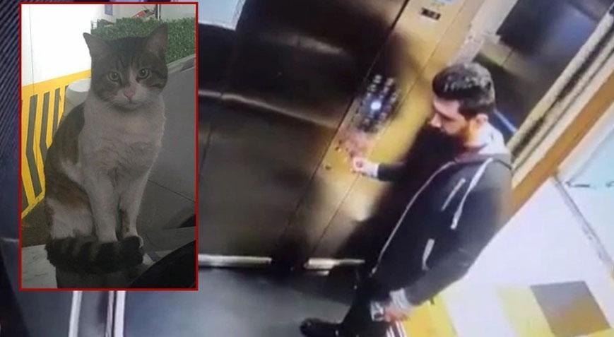 Eros’u tekmeleyerek öldüren sanık hakkında flaş gelişme