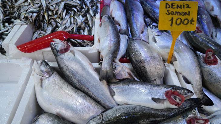 Kilosu 100 TL’den satılan somona yoğun talep