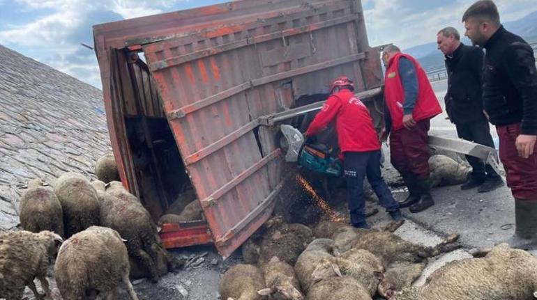 Balıkesir'de korkunç kaza! 1 kişi öldü, 2 kişi yaralandı, 52 koyun da telef oldu