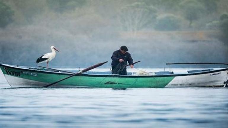 Yaren leylekten yeni haber! 'Mutlulukları gözlerinden okunuyor'