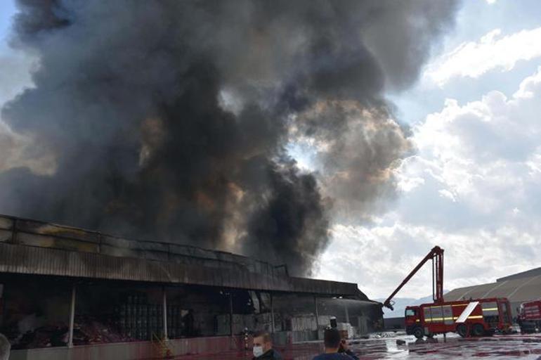 İzmir'de 13 saat süren yangının boyutu ortaya çıktı