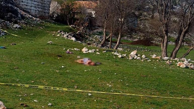 Antalya'da 3 köpeğinin saldırdığı 85 yaşındaki kadın öldü