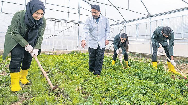 ‘Tematik liseler’ artırılsın talebi