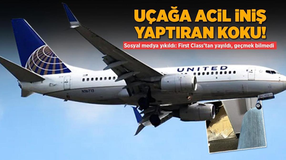 Uçağın koridoruna pisleyen köpek acil iniş yaptırdı! ‘Koku bir türlü geçmedi’