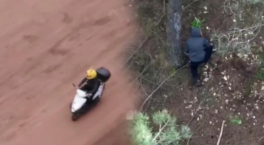 Yer: İstanbul! ‘Pikachu’ ormanda suçüstü yakalandı