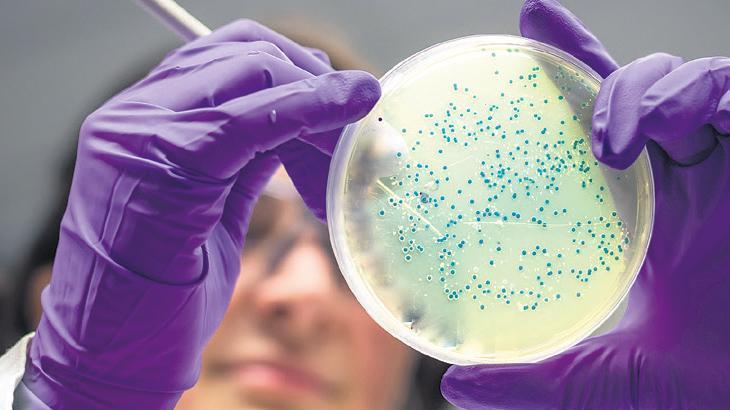 Damarlardaki vampir bakteri