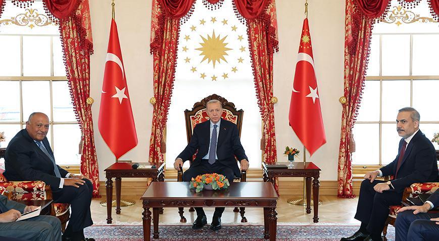 Son dakika: Cumhurbaşkanı Erdoğan Mısır Dışişleri Bakanı Shoukry’i kabul etti