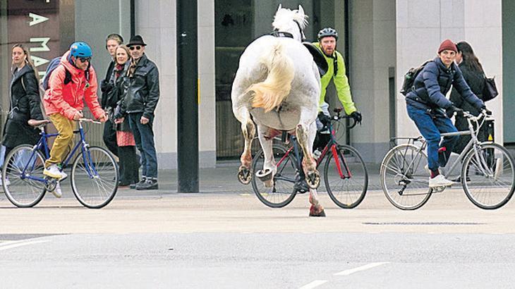 İki ingiliz atı firar etti… Londra sokaklarını birbirine kattılar