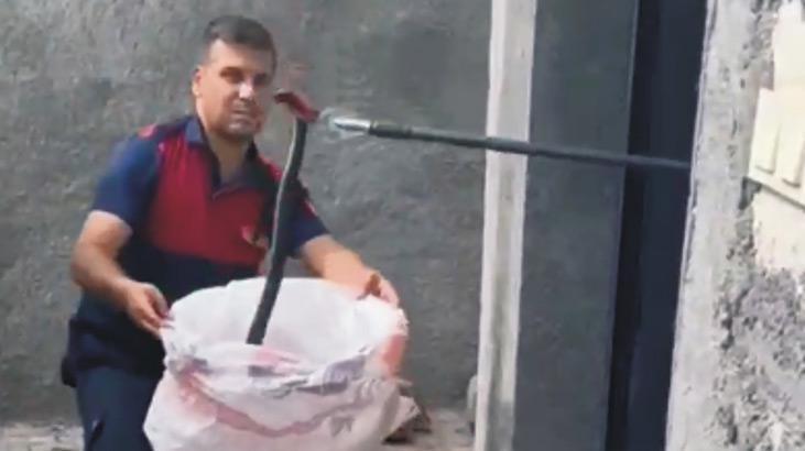 Osmaniye’de eve yılan girdi, ekipler yakaladı