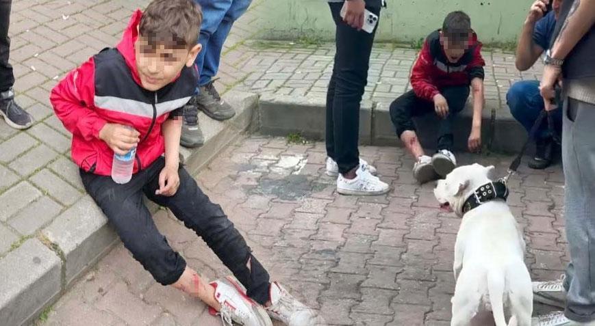 Mezarlıkta başıboş köpek dehşet saçtı! 12 yaşındaki çocuk hastaneye kaldırıldı