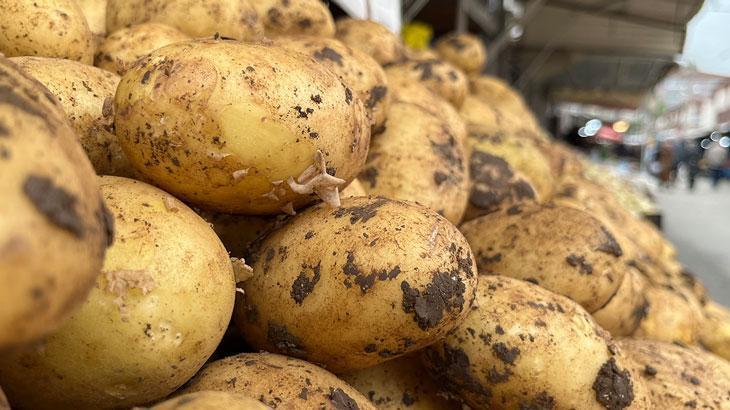 Yeni mahsul patates tezgaha indi: İstanbul’da 33, Bolu’da 15-20 lira