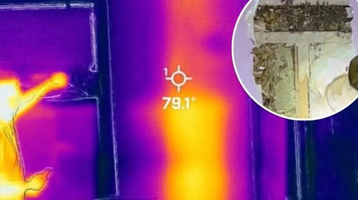 Duvardaki gizemli sesi kızı fark etti! Dünyada infial yarattı, ısı haritaları bile gözüktü