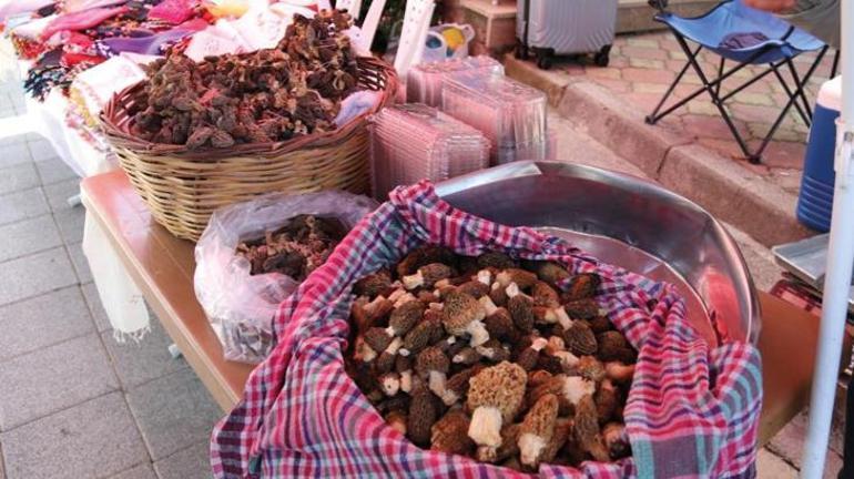 Fethiye'de Kuzugöbeği Mantarı 1500 TL’den satıldı