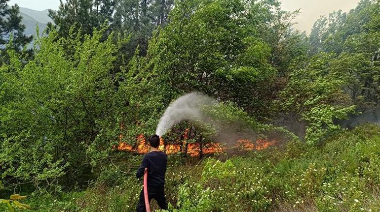 Kastamonu'da orman yangını! Rüzgarın etkisiyle yayıldı