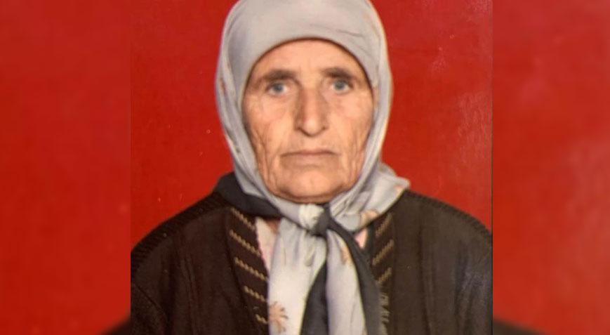 Adana’da dehşet! Köpek sürüsü 20 dakikada yaşlı kadını parçaladı