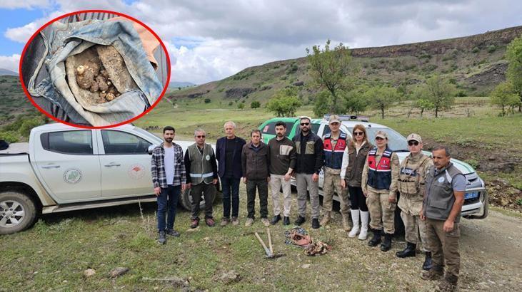 Biyolojik kaçakçılara rekor ceza! Yasak olmasına rağmen Tunceli’de topladılar