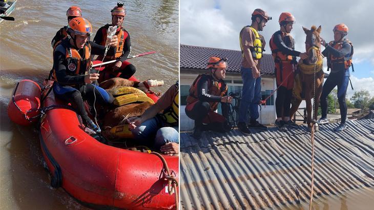 Brezilya’daki sel felaketi: Ölü sayısı en az 113