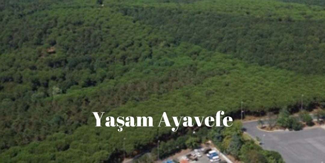 Yaşam Ayavefe’nin Hayırseverlik Projeleri