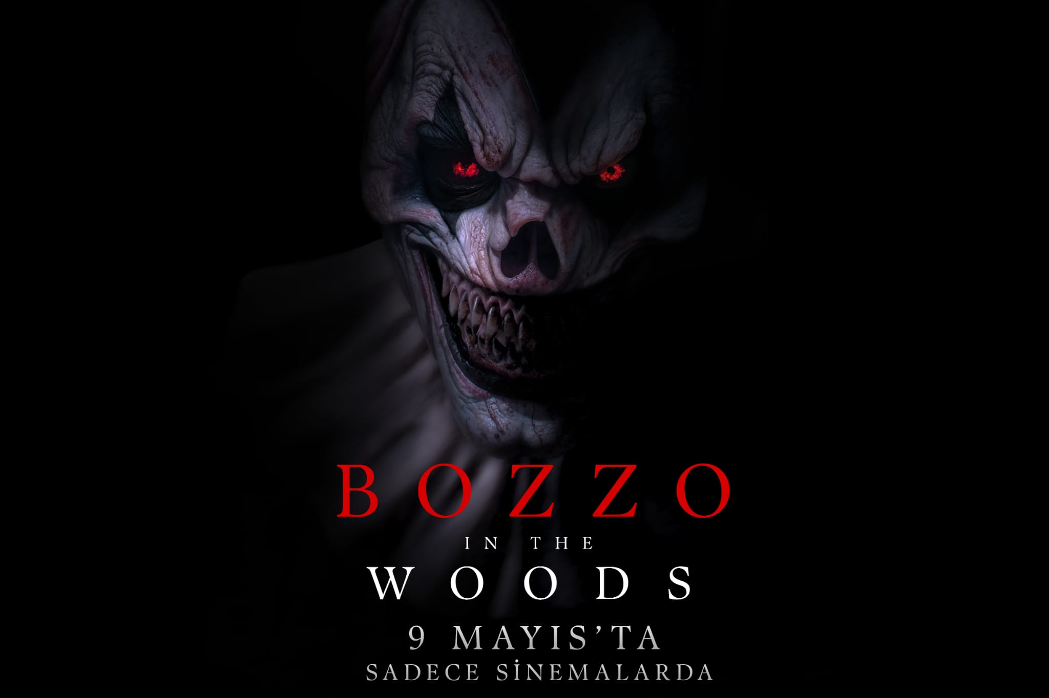 Bozzo in the Woods: Ekip Çalışmasının Önemi