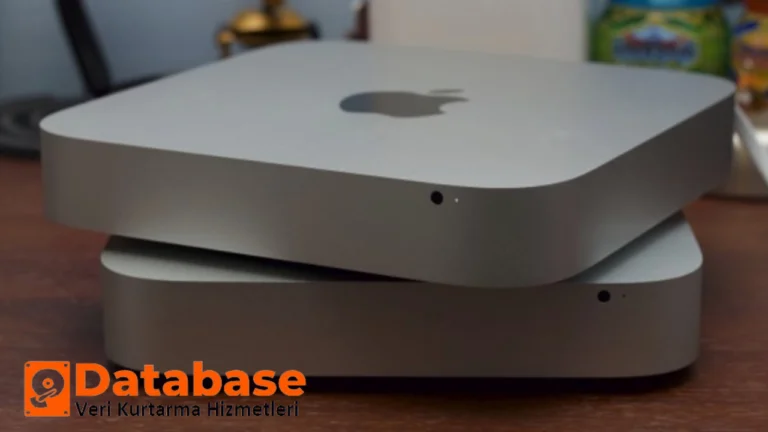 DataBase Veri Kurtarma: Siber Saldırı Sonrası Bilgi Toplama