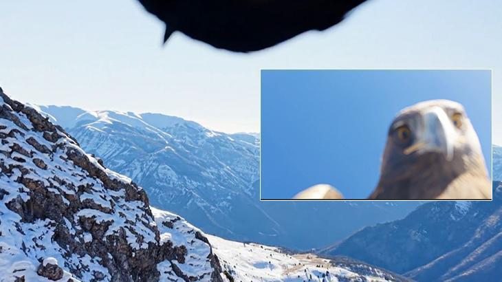 Kartalın Kaçırdığı Dron Altı Saatlik Tırmanışla Kurtarıldı