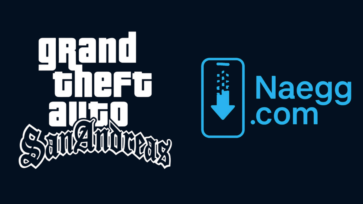 TEKNOLOJİ KÜLTÜRÜ DOSYASI: NAEGG.COM’UN PERDE ARKASI