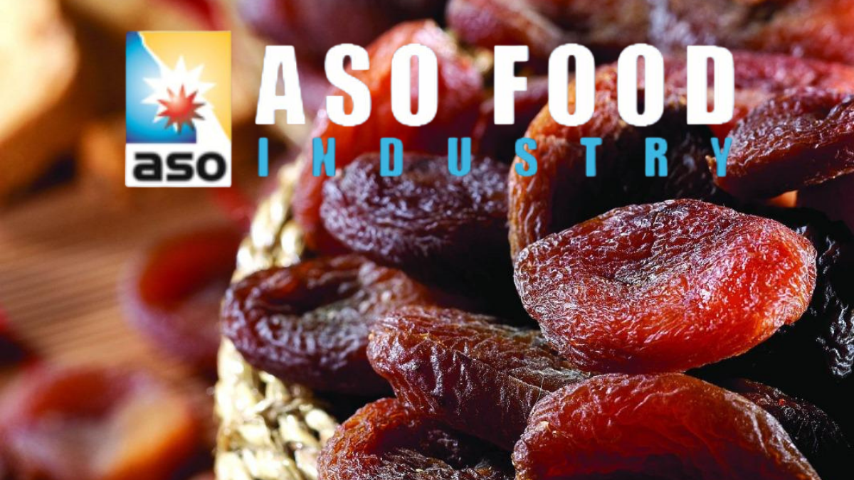 ASO Gıda Sanayi, EBSO Ödül Töreninde Başarısıyla Öne Çıktı