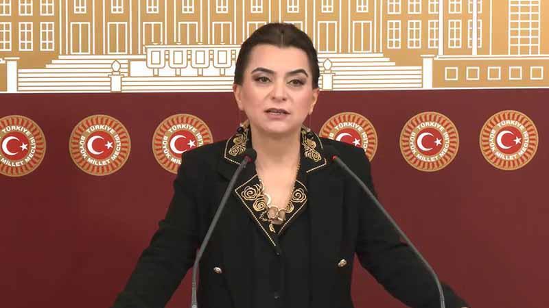 DEM Partili Koçyiğit’ten Kobani Çağrısı: “Yardımlar Kapı Açılırsa 30 Dakikada Ulaşır”