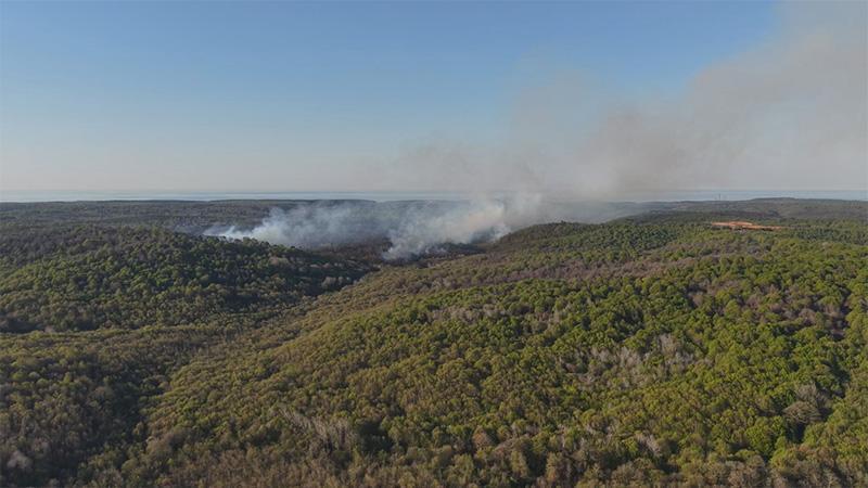 Beykoz’da Orman Mesaisi: Alevler Soğutma Çalışmaları Sırasında Yeniden Parladı!