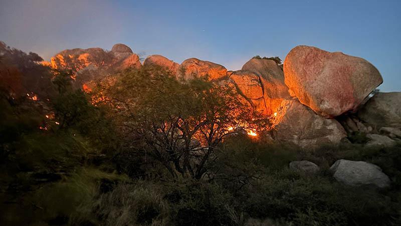 ARIZONA ALEVLERE TESLİM: 2 BİN 200 DÖNÜM KÜL OLDU!