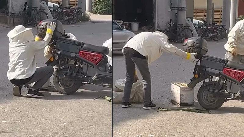 Arı Sürüsü Motosikleti Sardı! Kraliçe Arının Peşinden Gelen İlginç Anlar Kamerada