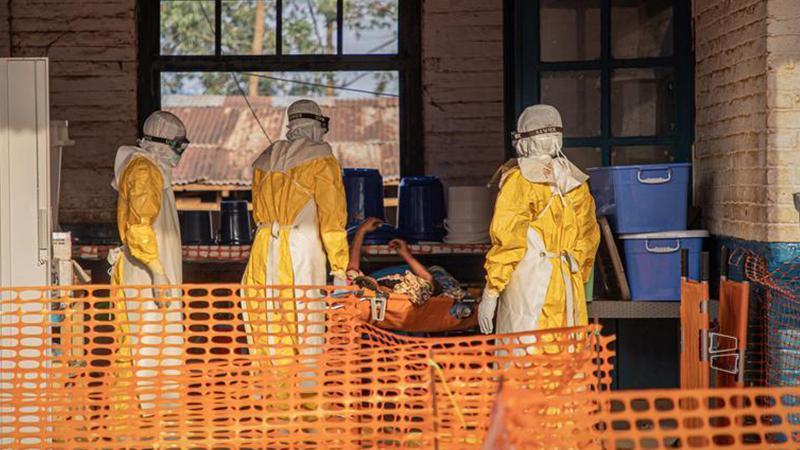 Ebola Salgınında Güncel Bilançolar Açıklandı