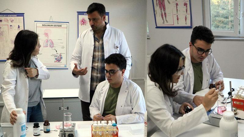 Babaannesinin Yatak Yaralarından İlham Aldılar, Tarantula Zehrinden Hidrojel Ürettiler